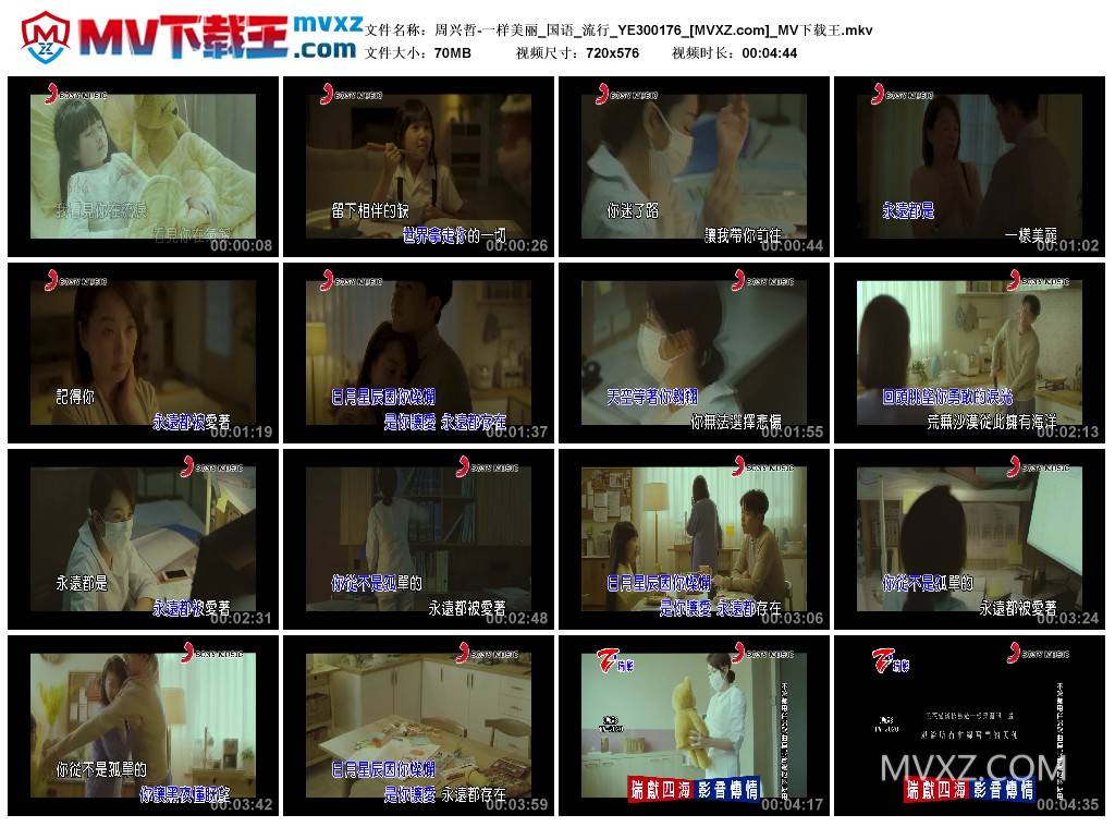 周兴哲-一样美丽_国语_流行_YE300176